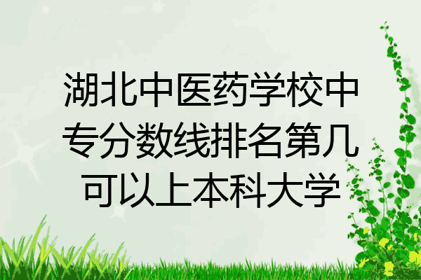 湖北中医药学校中专分数线排名第几可以上本科大学