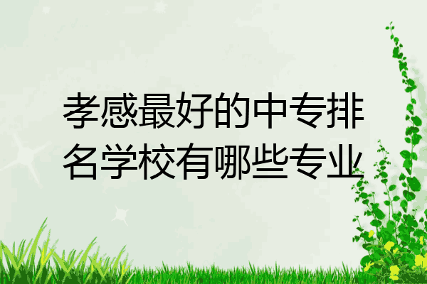 孝感最好的中专排名学校有哪些专业