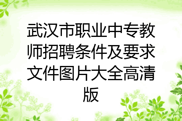 武汉市职业中专教师招聘条件及要求文件图片大全高清版