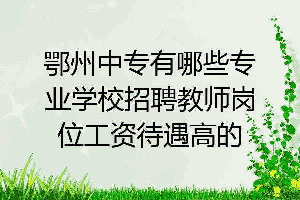鄂州中专有哪些专业学校招聘教师岗位工资待遇高的