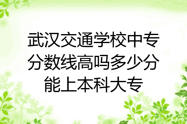 武汉交通学校中专分数线高吗多少分能上本科大专