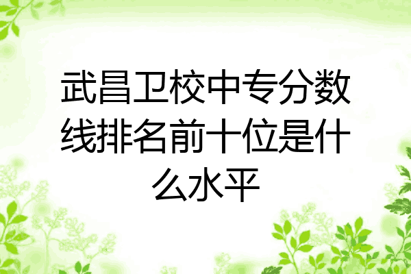 武昌卫校中专分数线排名前十位是什么水平