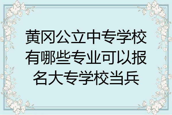 黄冈公立中专学校有哪些专业可以报名大专学校当兵
