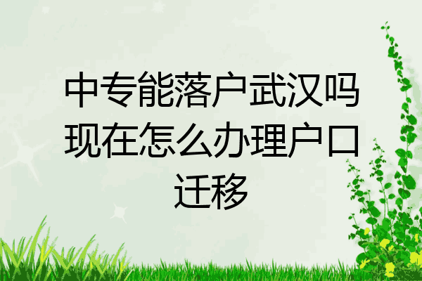 中专能落户武汉吗现在怎么办理户口迁移