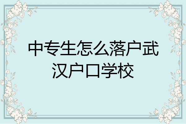 中专生怎么落户武汉户口学校