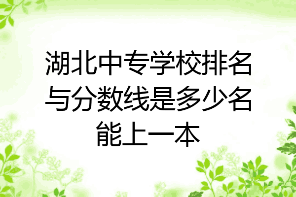 湖北中专学校排名与分数线是多少名能上一本