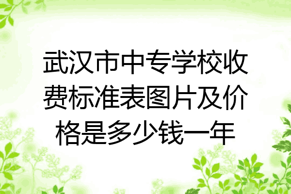 武汉市中专学校收费标准表图片及价格是多少钱一年