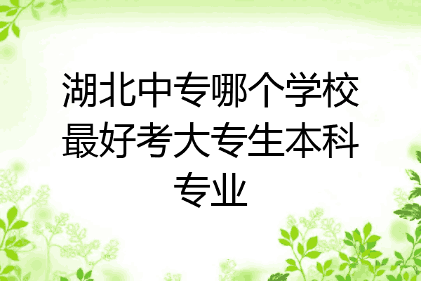湖北中专哪个学校最好考大专生本科专业