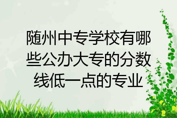 随州中专学校有哪些公办大专的分数线低一点的专业