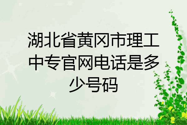 湖北省黄冈市理工中专官网电话是多少号码