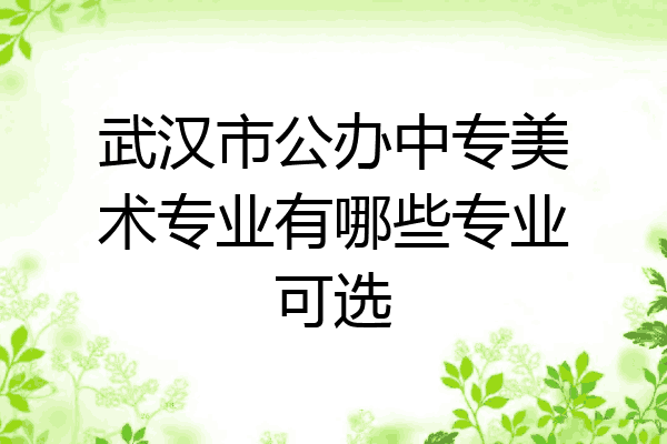 武汉市公办中专美术专业有哪些专业可选