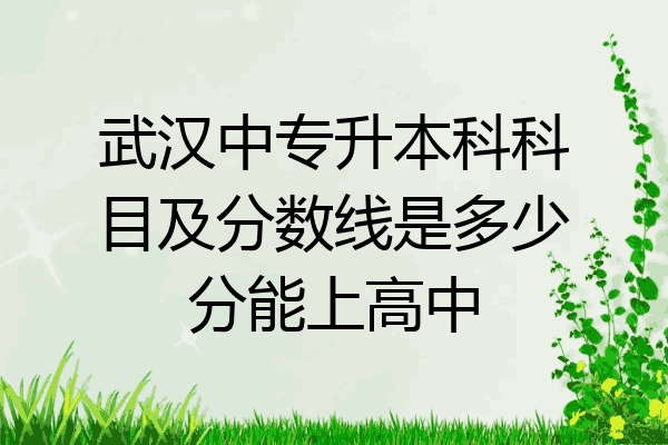 武汉中专升本科科目及分数线是多少分能上高中