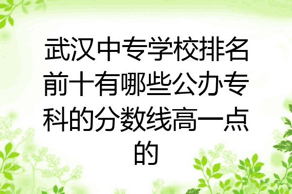武汉中专学校排名前十有哪些公办专科的分数线高一点的