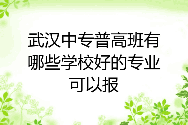 武汉中专普高班有哪些学校好的专业可以报