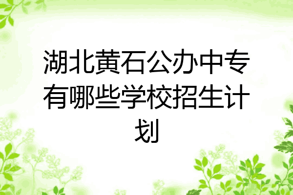 湖北黄石公办中专有哪些学校招生计划
