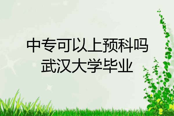 中专可以上预科吗武汉大学毕业
