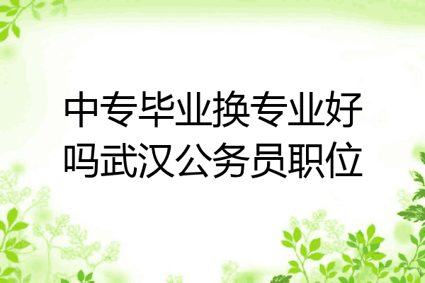 中专毕业换专业好吗武汉公务员职位