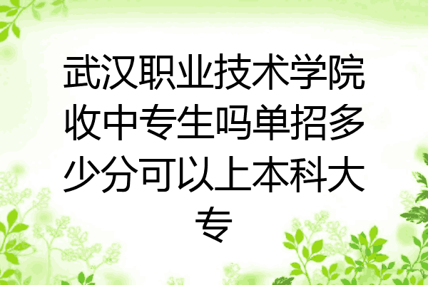 武汉职业技术学院收中专生吗单招多少分可以上本科大专