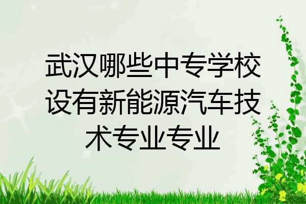 武汉哪些中专学校设有新能源汽车技术专业专业