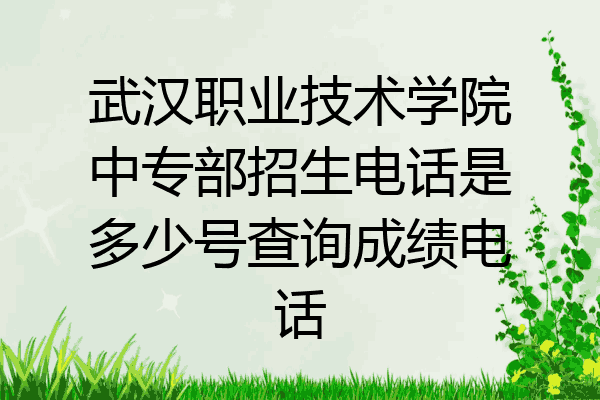 武汉职业技术学院中专部招生电话是多少号查询成绩电话