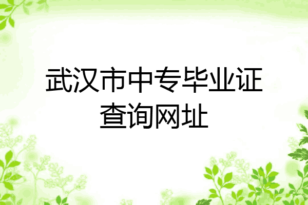 武汉市中专毕业证查询网址