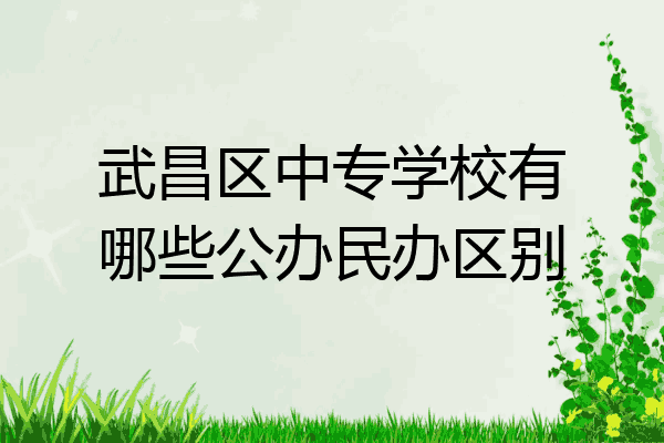 武昌区中专学校有哪些公办民办区别
