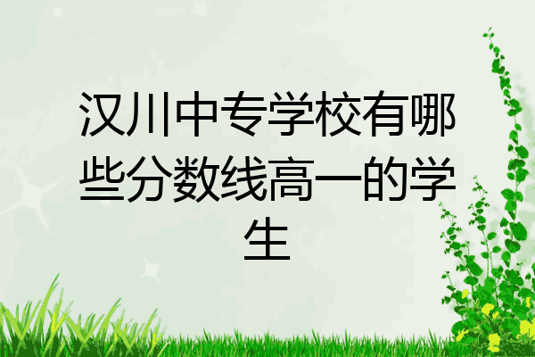 汉川中专学校有哪些分数线高一的学生