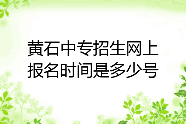 黄石中专招生网上报名时间是多少号