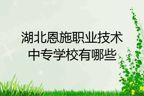 湖北恩施职业技术中专学校有哪些