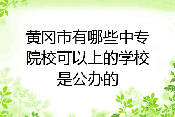 黄冈市有哪些中专院校可以上的学校是公办的