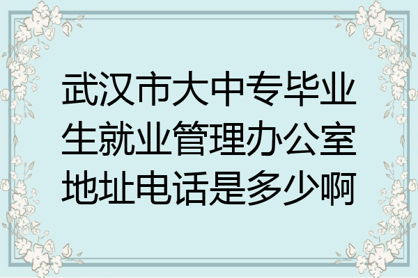 武汉市大中专毕业生就业管理办公室地址电话是多少啊