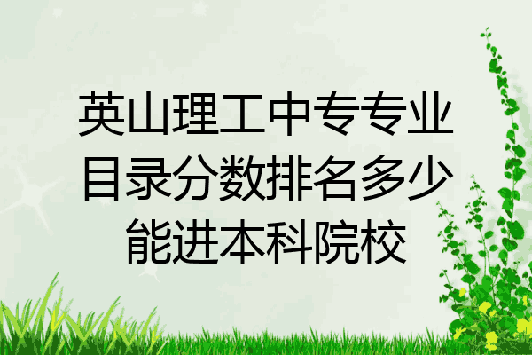 英山理工中专专业目录分数排名多少能进本科院校
