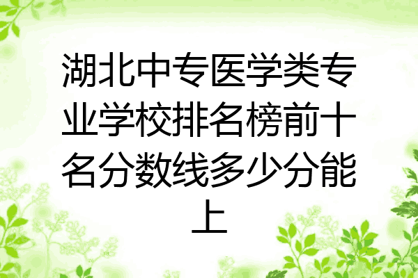 湖北中专医学类专业学校排名榜前十名分数线多少分能上