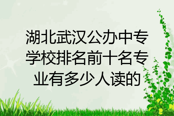 湖北武汉公办中专学校排名前十名专业有多少人读的