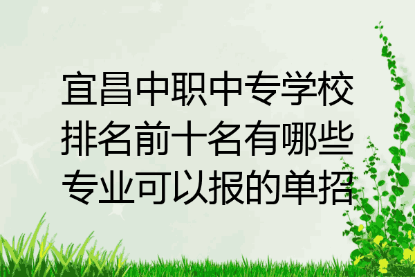 宜昌中职中专学校排名前十名有哪些专业可以报的单招