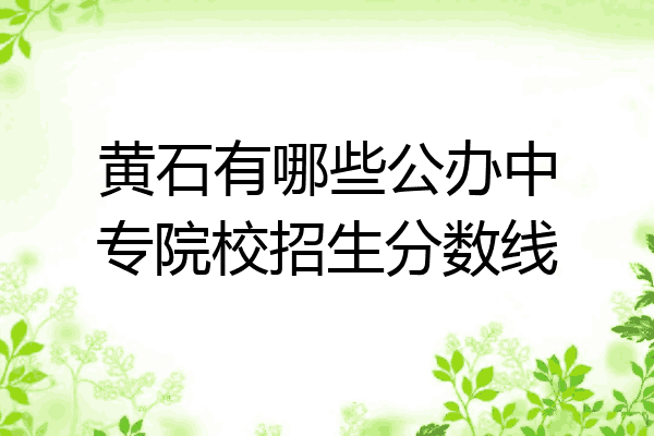黄石有哪些公办中专院校招生分数线