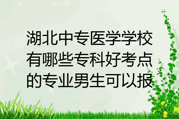 湖北中专医学学校有哪些专科好考点的专业男生可以报