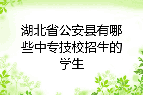 湖北省公安县有哪些中专技校招生的学生