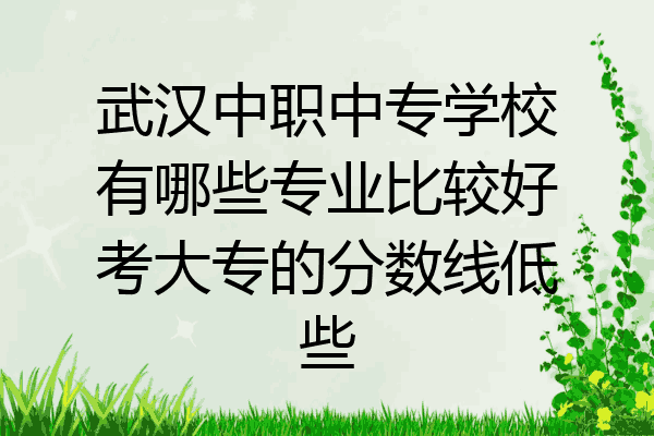 武汉中职中专学校有哪些专业比较好考大专的分数线低些