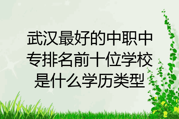 武汉最好的中职中专排名前十位学校是什么学历类型