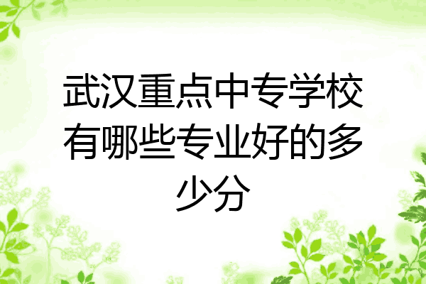 武汉重点中专学校有哪些专业好的多少分