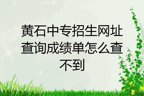 黄石中专招生网址查询成绩单怎么查不到