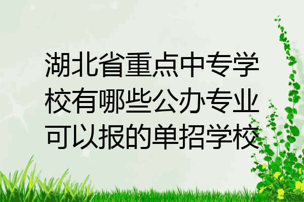 湖北省重点中专学校有哪些公办专业可以报的单招学校