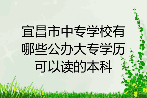 宜昌市中专学校有哪些公办大专学历可以读的本科