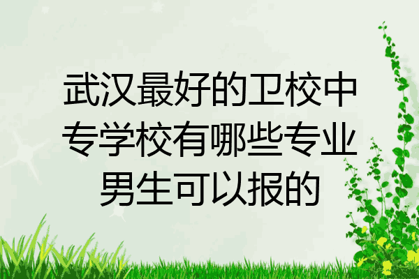 武汉最好的卫校中专学校有哪些专业男生可以报的