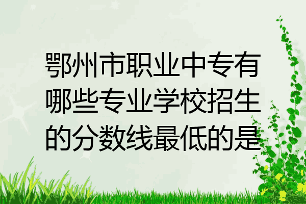鄂州市职业中专有哪些专业学校招生的分数线最低的是