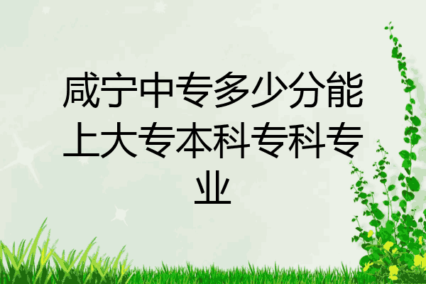 咸宁中专多少分能上大专本科专科专业