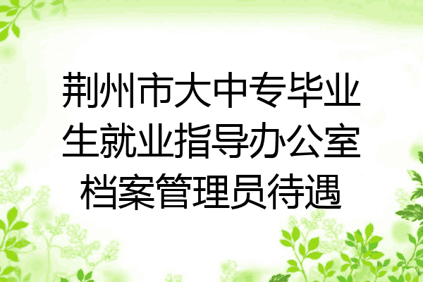 荆州市大中专毕业生就业指导办公室档案管理员待遇