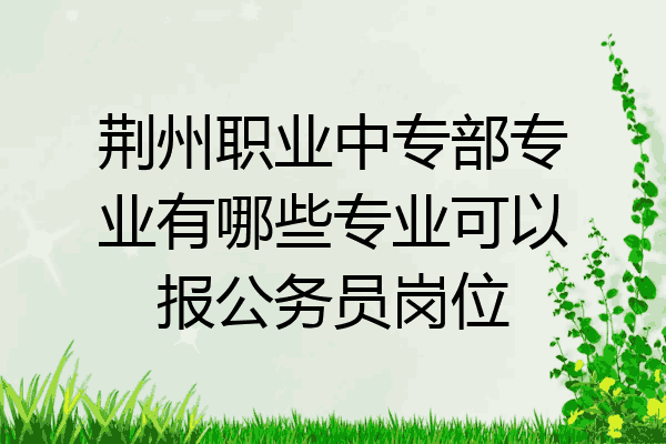 荆州职业中专部专业有哪些专业可以报公务员岗位
