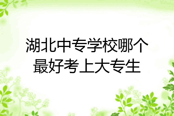湖北中专学校哪个最好考上大专生
